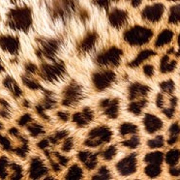 KI-260-069 Fototapeta do kuchyne - Leopard Skin (Leopardej kože) 260 x 60 cm