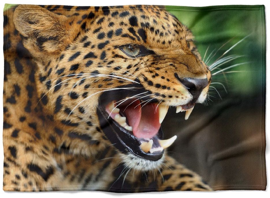 Deka Rev geparda  (Rozmer: 200 x 140 cm, Podšitie baránkom: NE)