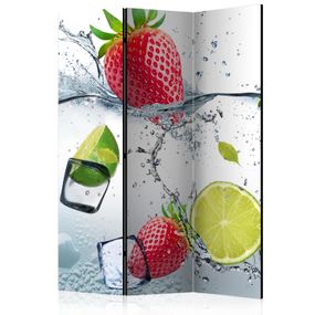 Artgeist Paraván - Fruit cocktail [Room Dividers]