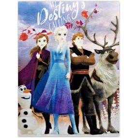 Setino · Detská fleecová deka Ľadové kráľovstvo - Frozen - motív My destiny’s calling - 100 x 140 cm