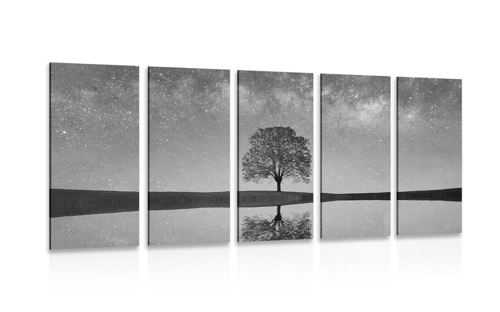 5-dielny obraz hviezdna obloha nad osamelým stromom v čiernobielom prevedení