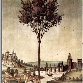 Botticelli obraz - Zvestovanie zs10153