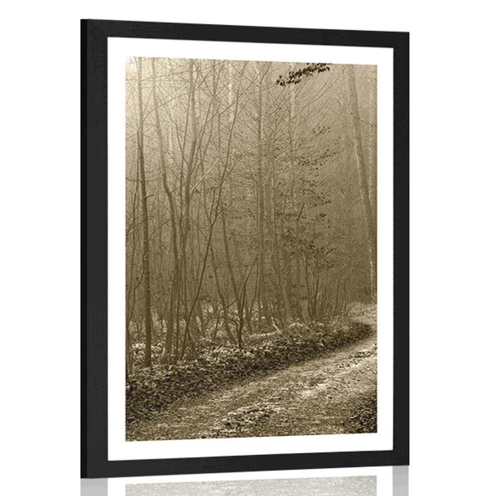 Plagát s paspartou sépiová cestička do lesa - 60x90 black