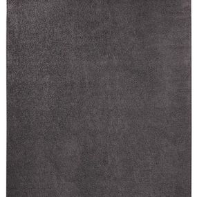Hanse Home Collection koberce Kusový koberec Pure 102661 Anthrazit - 80x150 cm