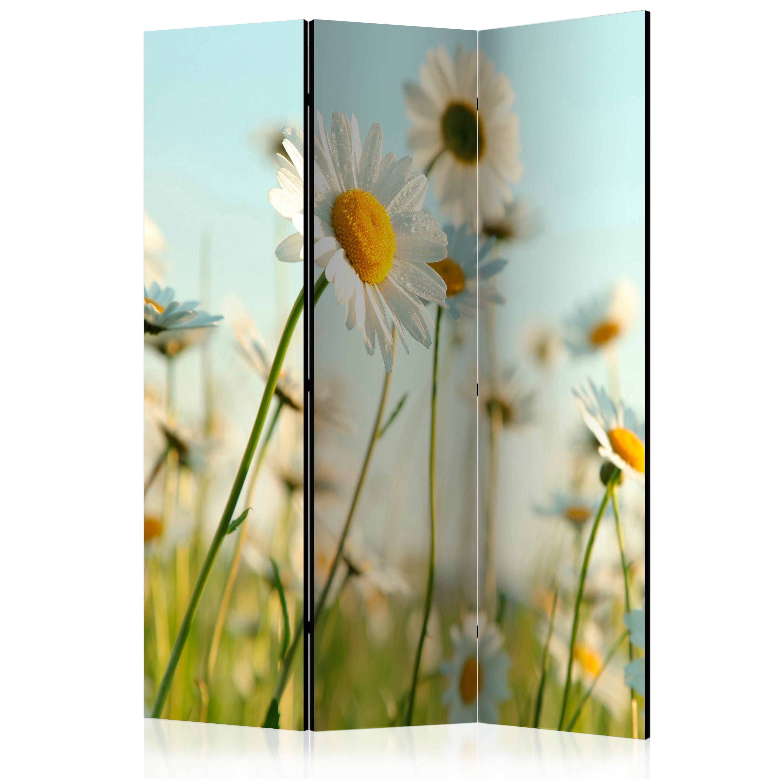 Artgeist Paraván - Daisies - spring meadow [Room Dividers]