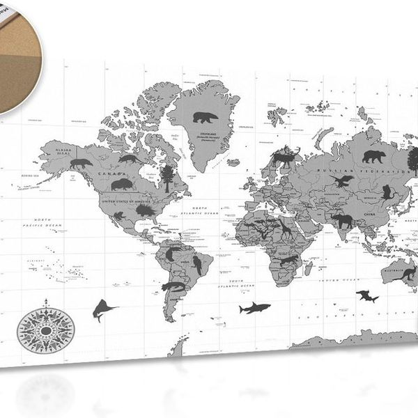 Obraz na korku mapa so zvieratami v čiernobielom prevedení - 120x80  arrow