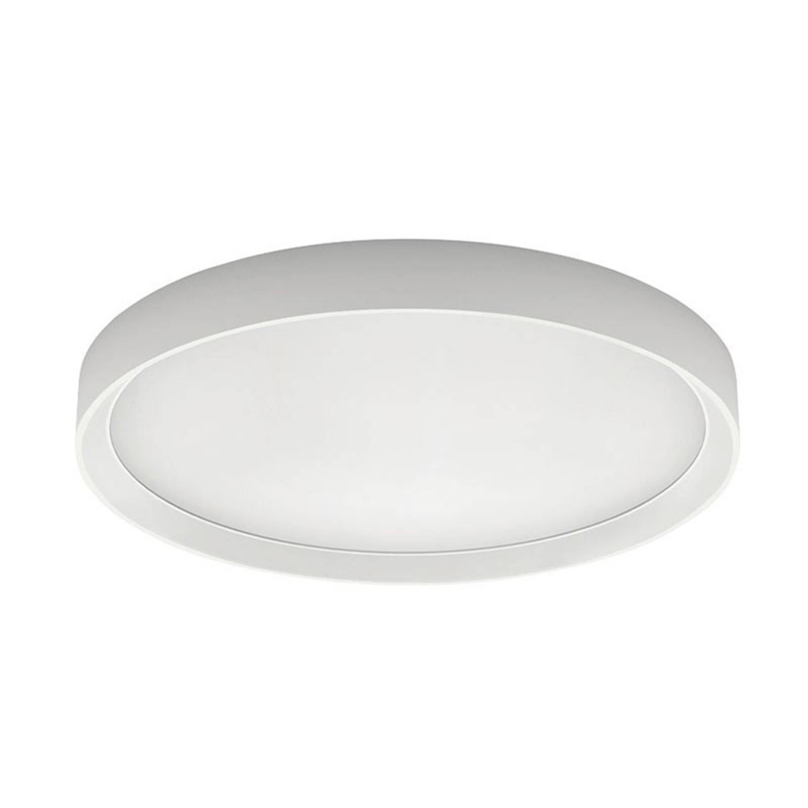 Linea Light Stropné LED svietidlo Tara okrúhle Ø 51 cm, Chodba, hliník, polykarbonát, 45W, K: 6.5cm