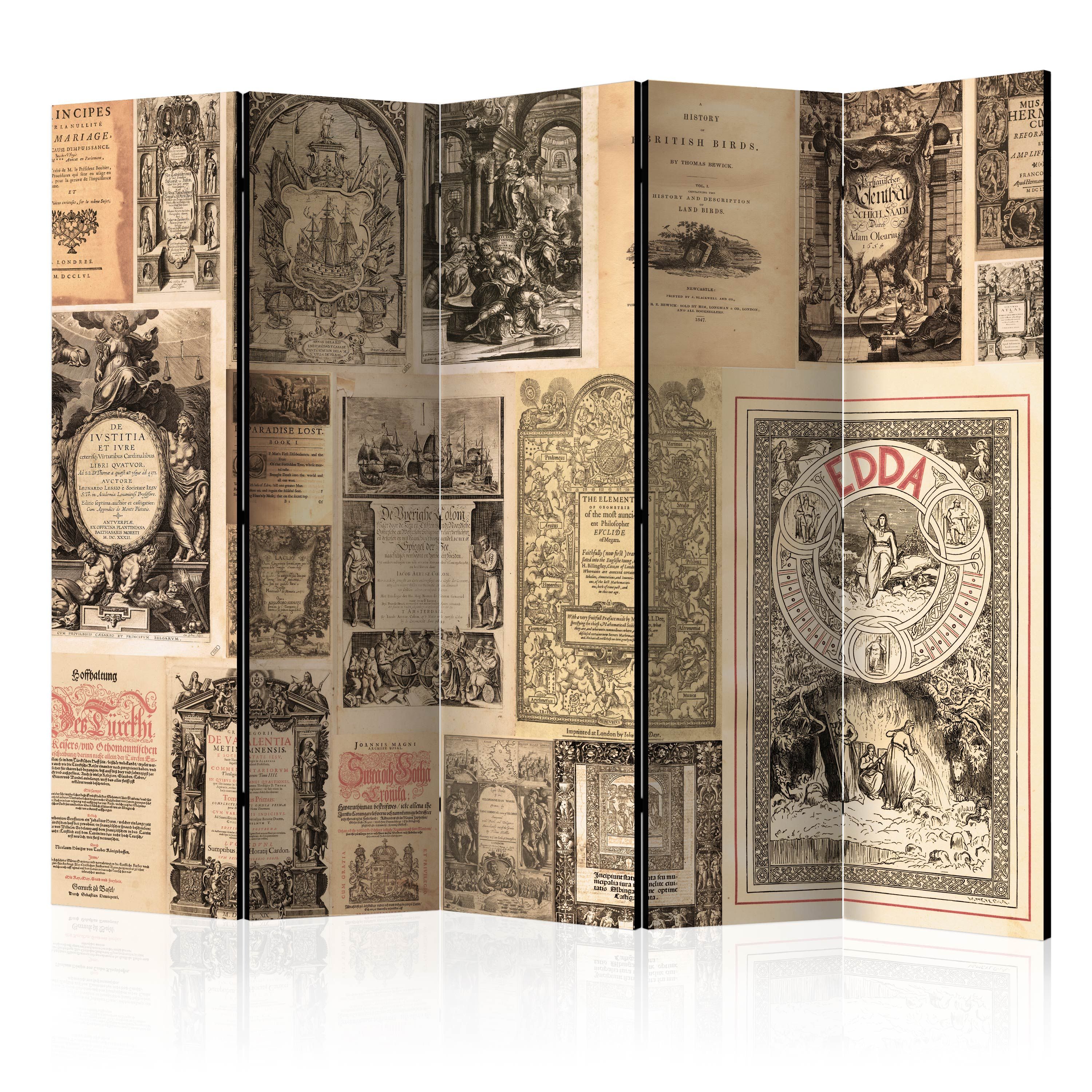 Artgeist Paraván - Vintage Books II [Room Dividers]