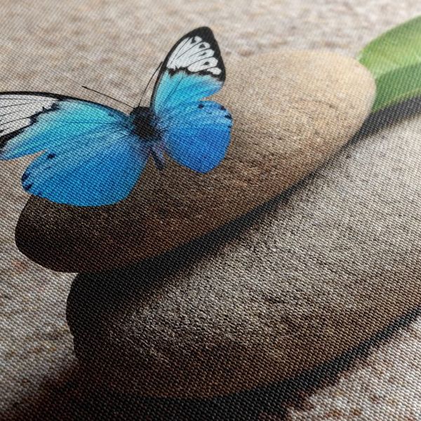 Obraz modrý motýľ v Zen záhrade - 60x40