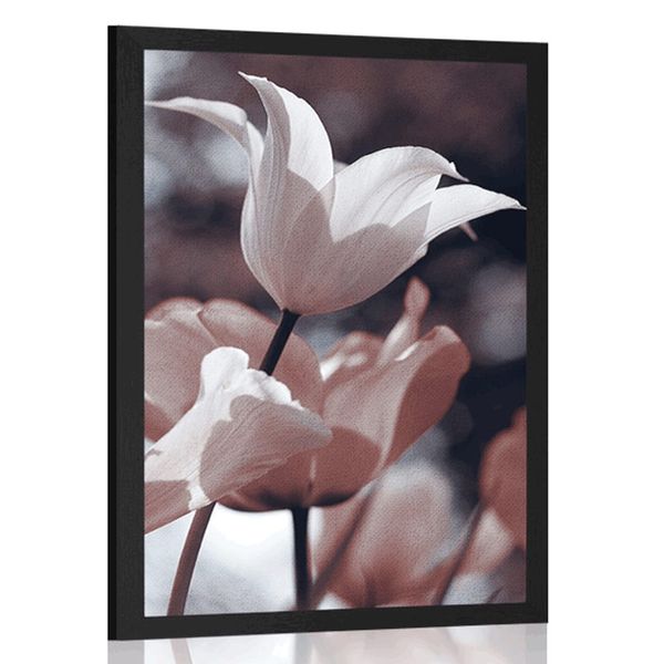 Plagát jarné tulipány v parku - 30x45 silver