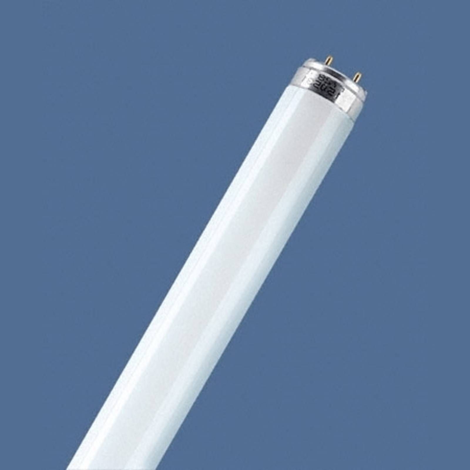 OSRAM Žiarivky G13 T8 58W 840 LUMILUX, G13, Energialuokka: G, P: 150 cm