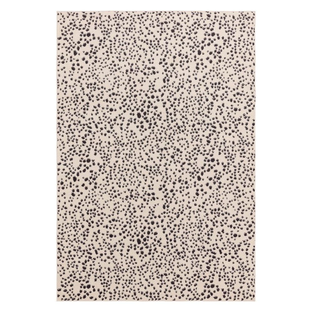 Čierno-biely koberec 80x150 cm Muse – Asiatic Carpets