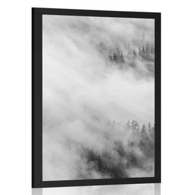 Plagát čiernobiely hmlistý les - 20x30 black