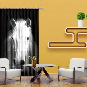 FCS L 7520 AG Design textilný foto záves obrazový Horse - Kôň FCSL 7520, veľkosť 140 x 245 cm