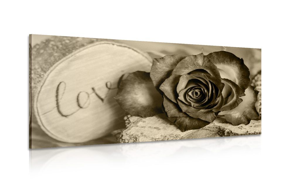 Obraz ruža v sépiovom prevedení Love - 120x60