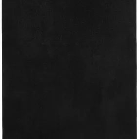 Hanse Home Collection koberce Kusový koberec Fancy 103004 Schwarz - čierny - 200x280 cm