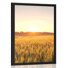 Plagát západ slnka nad poľom - 40x60 white