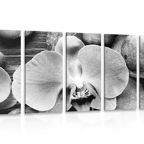 5-dielny obraz nádherná orchidea a kamene v čiernobielom prevedení