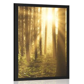 Plagát východ slnka v lese - 30x45 black