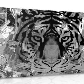 Obraz tigria hlava v čiernobielom prevedení