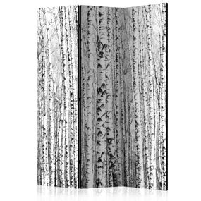 Artgeist Paraván - Birch forest [Room Dividers]