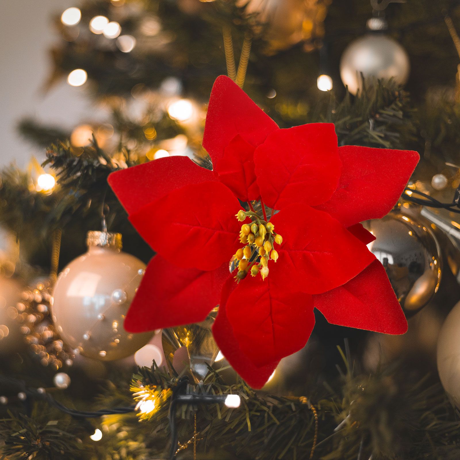 Vianočný mikulášsky kvet so štipcom - 21 cm - červený