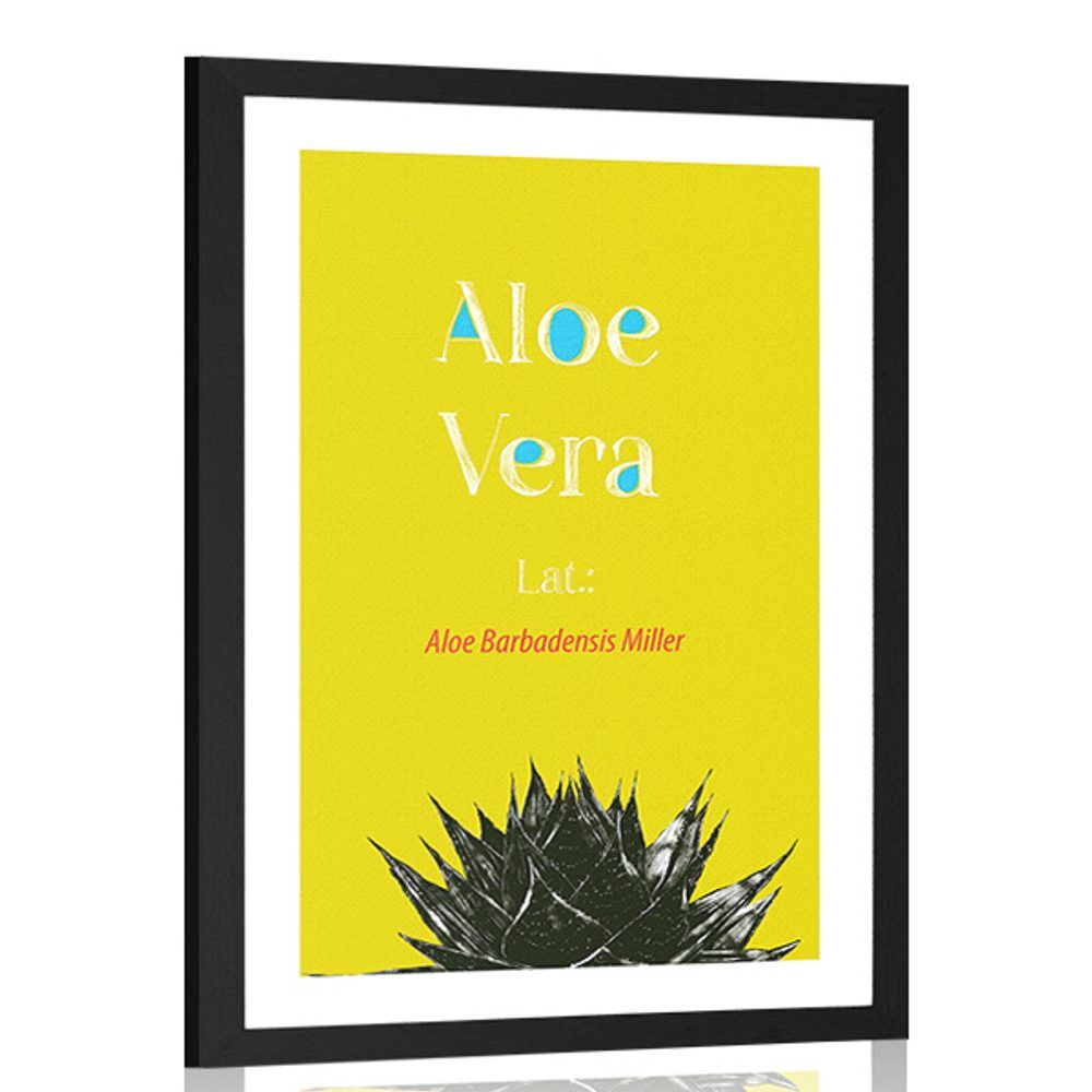 Plagát s paspartou zázračná Aloe Vera - 40x60 black