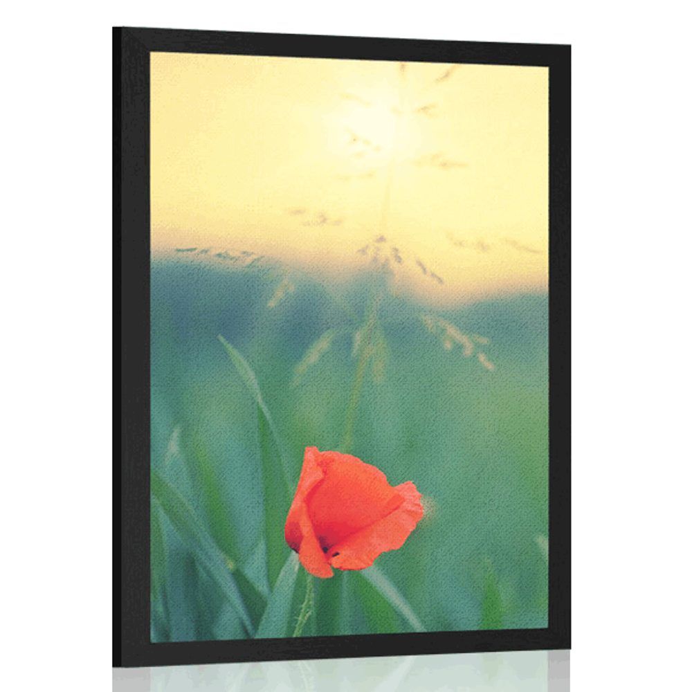 Plagát vlčí mak v tráve - 40x60 black