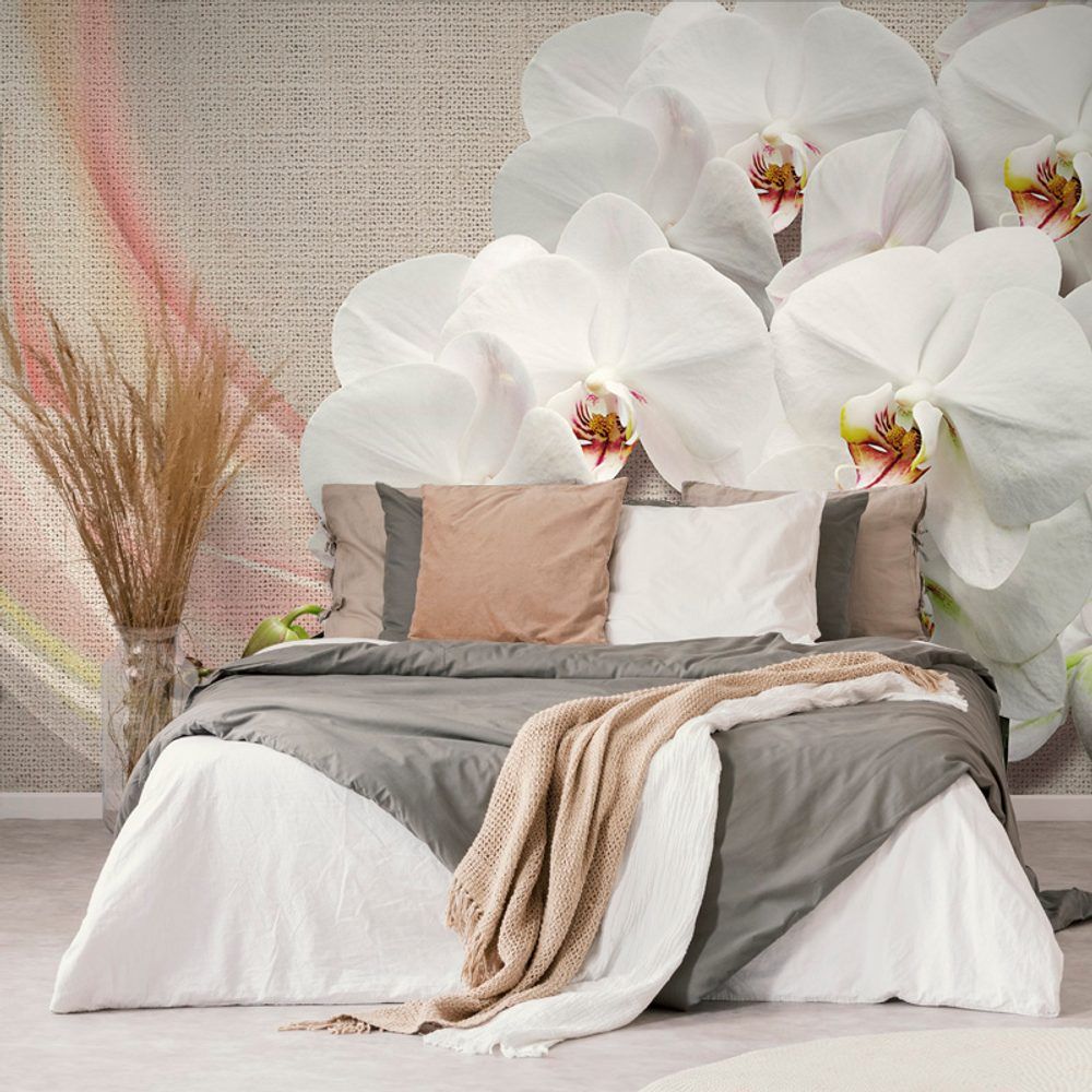 Samolepiaca tapeta biela orchidea na plátne - 450x300