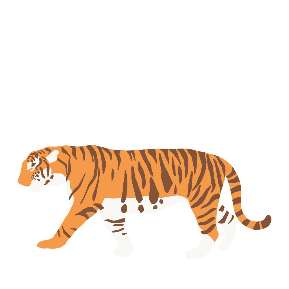 Nálepka na stenu - Tiger 40x100 cm