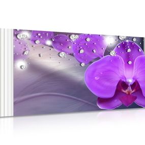 Obraz orchidea pri gréckych stĺpoch - 120x60