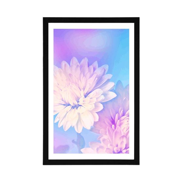 Plagát s paspartou kvet chryzantémy - 40x60 silver