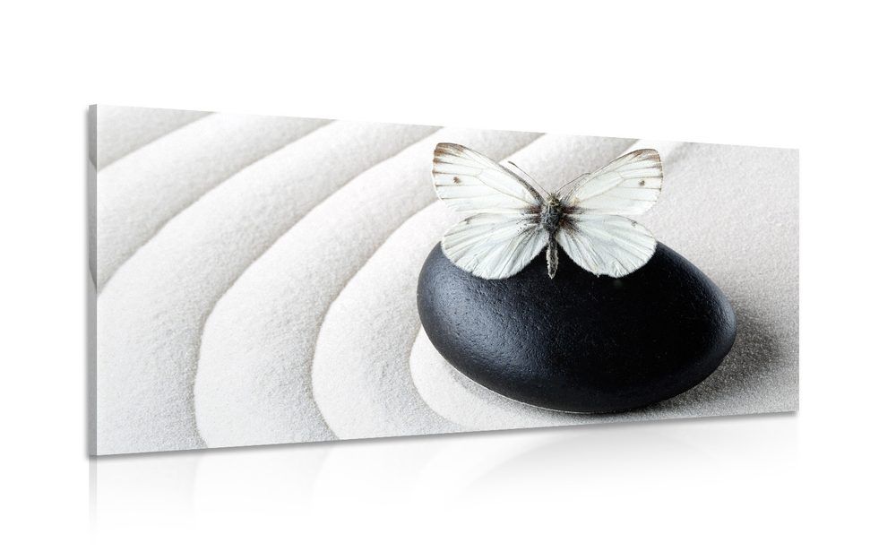 Obraz Zen kameň s motýľom - 120x60