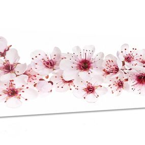 Obraz čerešňové kvety - 120x60