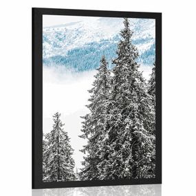 Plagát zasnežené borovicové stromy - 40x60 silver