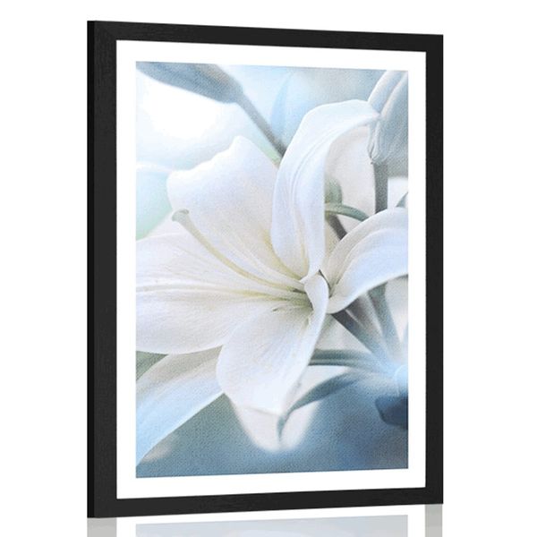 Plagát s paspartou biely kvet ľalie na abstraktnom pozadí - 60x90 black