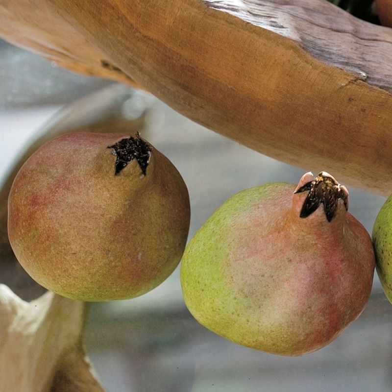 ADRIANI E ROSSI - Dekorácia umelé granátové jablko 1ks