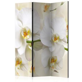 Artgeist Paraván - Orchid Branch [Room Dividers]