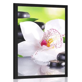 Plagát japonská orchidea - 40x60 silver