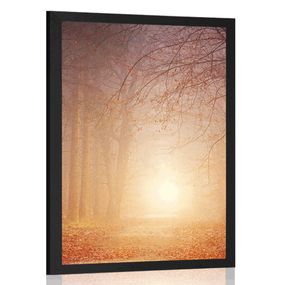 Plagát les v rozprávkových farbách - 40x60 black