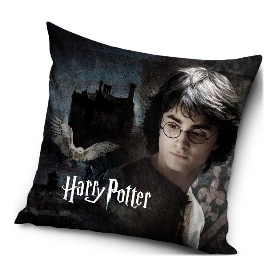 Carbotex · Obliečka na vankúš Harry Potter - 40 x 40 cm