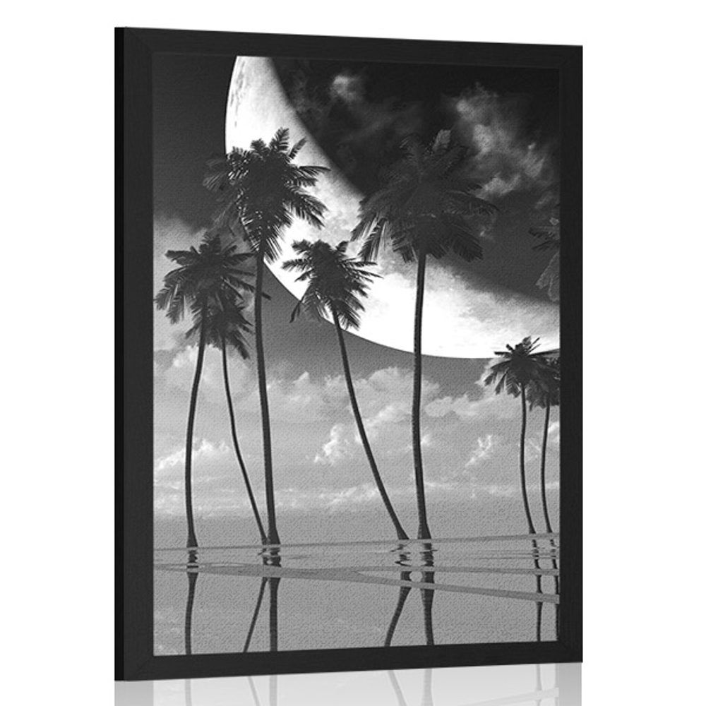 Plagát západ slnka nad tropickými palmami v čiernobielom prevedení - 40x60 black