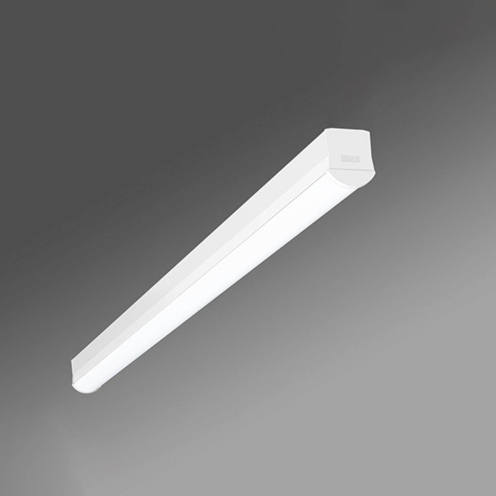 Regiolux Dlhé stropné LED svietidlo Ilia-ILG/1200 4 000 K, Chodba, oceľ, plast, 36W, P: 114 cm, L: 5.6 cm, K: 6.6cm
