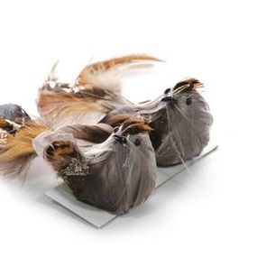 Vtáčatká so štipcom MagicHome, hnedé, pár, 15x5x5 cm