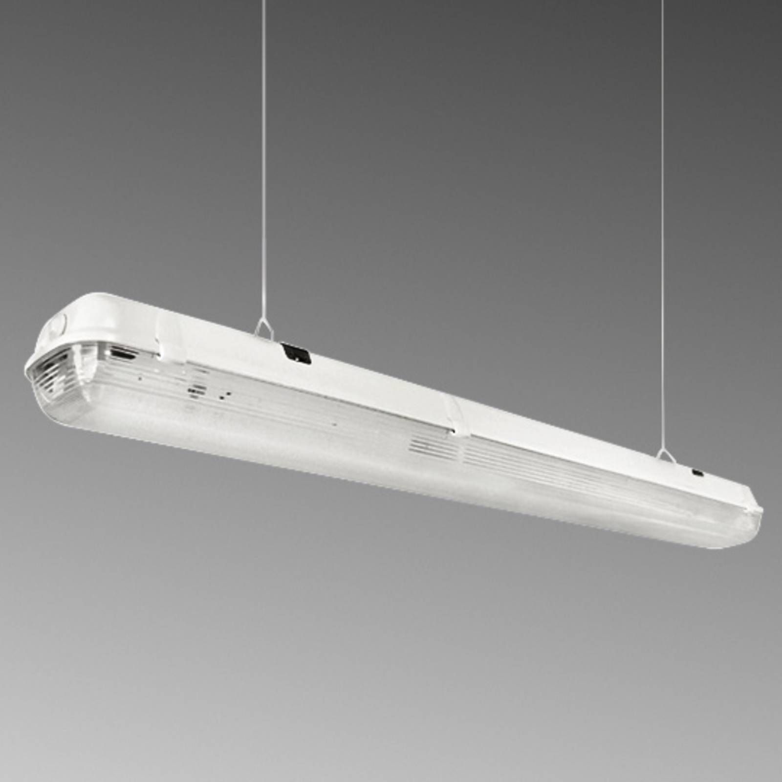 EGG Vaňové LED svietidlo odolné vlhkosti priemysel 95W, polykarbonát, polyester, inox, 95W, Energialuokka: C, P: 157.5 cm, L: 13.5 cm, K: 10cm