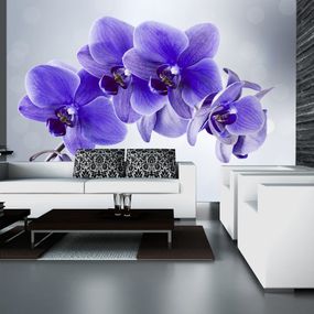 Samolepiaca tapeta fialová orchidea - Parting hour - 294x210
