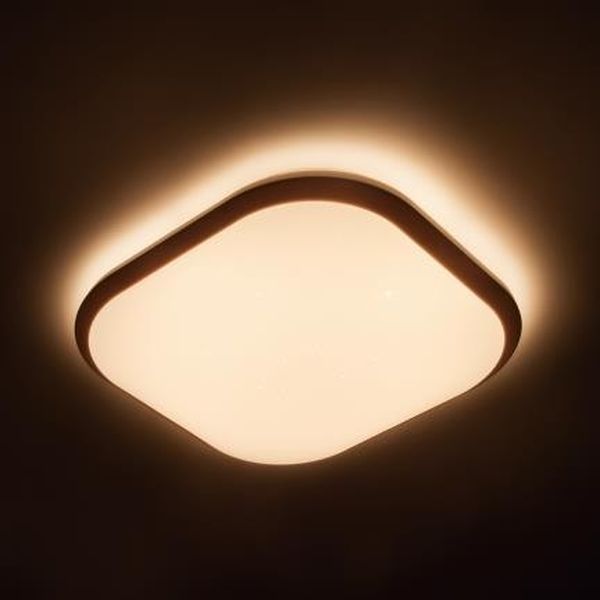 LED stropné svietidlo Philips Canaval SceneSwitch 32810/31 / P0 biele 30cm
