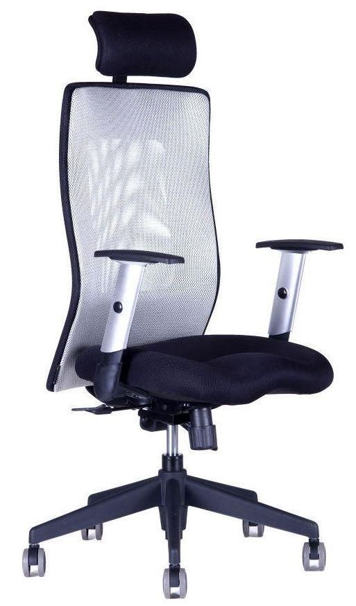 OFFICE PRO -  OFFICE PRO Kancelárska stolička CALYPSO GRAND SP1 sivá svetlá
