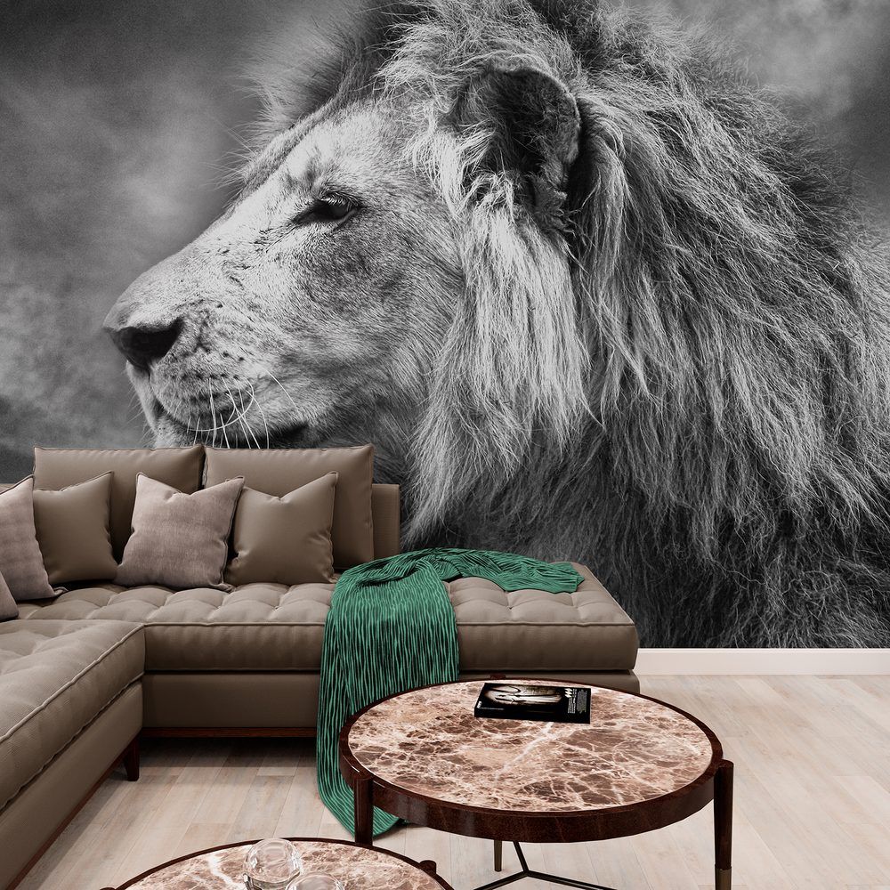 Samolepiaca tapeta africký lev v čiernobielom prevedení - 450x300