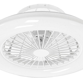 Stropný ventilátor s LED osvetlením Lani, 50 cm